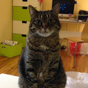 Meet your Posher, Joshua